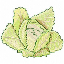 Lettuce Embroidery Design 4
